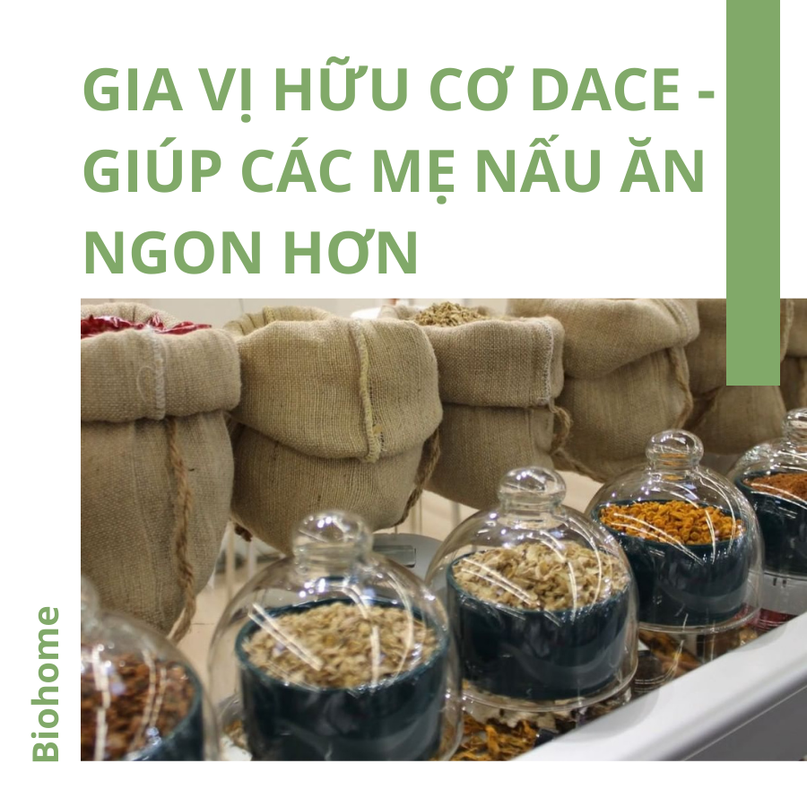 Gia vị hữu cơ Dace giúp các mẹ nấu ăn ngon hơn