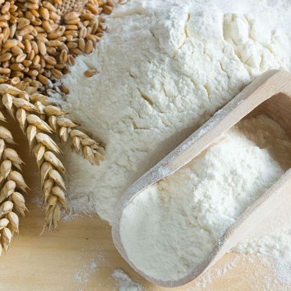 Sự khác nhau giữa các loại bột mì hữu cơ Bauckhof