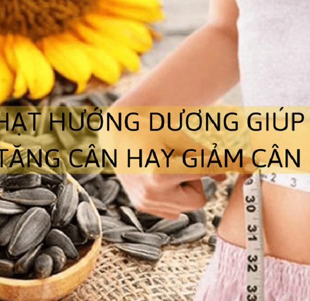 Hạt hướng dương giúp bạn béo lên hay gầy đi? Hạt hướng dương giúp bạn béo lên hay gầy đi?