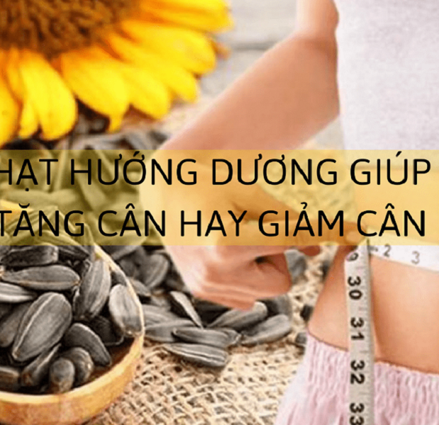 Hạt hướng dương giúp bạn béo lên hay gầy đi?