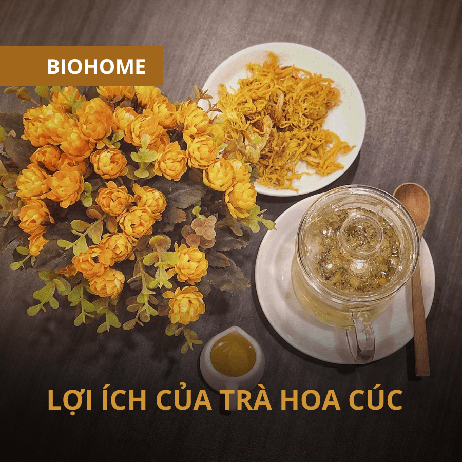 LỢI ÍCH CỦA TRÀ HOA CÚC