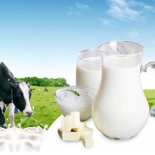 Uống sữa bò có giúp trẻ tăng chiều cao hay không?