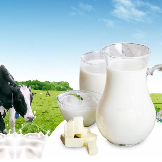 Uống sữa bò có giúp trẻ tăng chiều cao hay không? Uống sữa bò có giúp trẻ tăng chiều cao hay không?