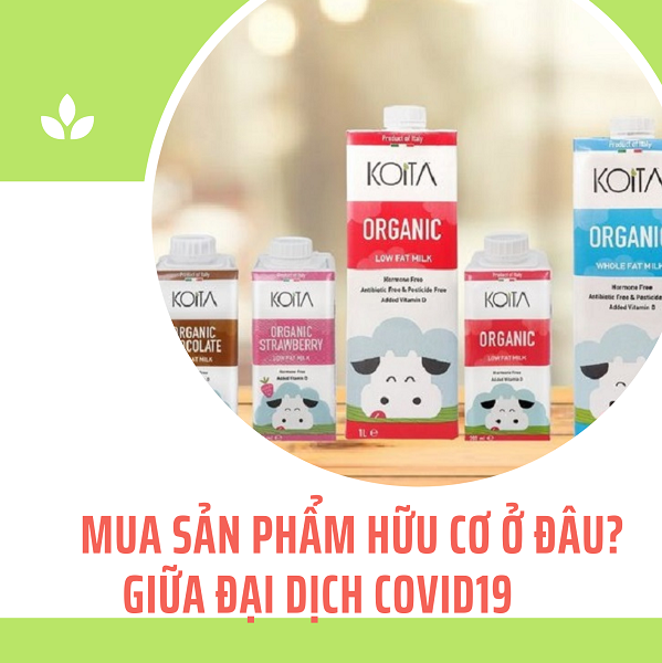 Giữa đại dịch Covid19 NTD nên mua sản phẩm hữu cơ ở đâu để an tâm nhất Giữa đại dịch Covid19 NTD nên mua sản phẩm hữu cơ ở đâu để an tâm nhất
