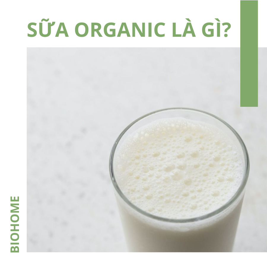 Sữa organic là gì? Loại sữa organic nào tốt nhất hiện nay?