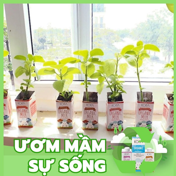Trải nghiệm những sáng tạo hay ho từ vỏ hộp sữa Trải nghiệm những sáng tạo hay ho từ vỏ hộp sữa