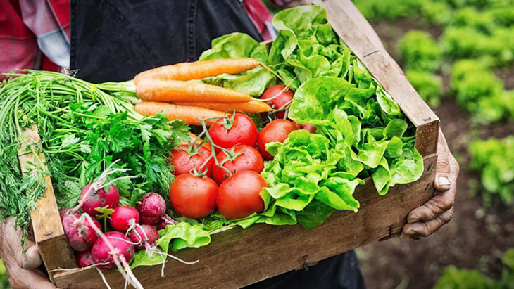 Top 3 Địa Chỉ Bán Thực Phẩm Hữu Cơ Chất Lượng Nhất Top 3 Địa Chỉ Bán Thực Phẩm Hữu Cơ Chất Lượng Nhất