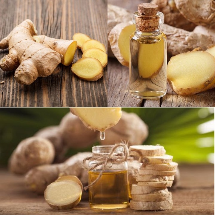 Những lợi ích của dầu gừng hữu cơ với sức khỏe Những lợi ích của dầu gừng hữu cơ với sức khỏe