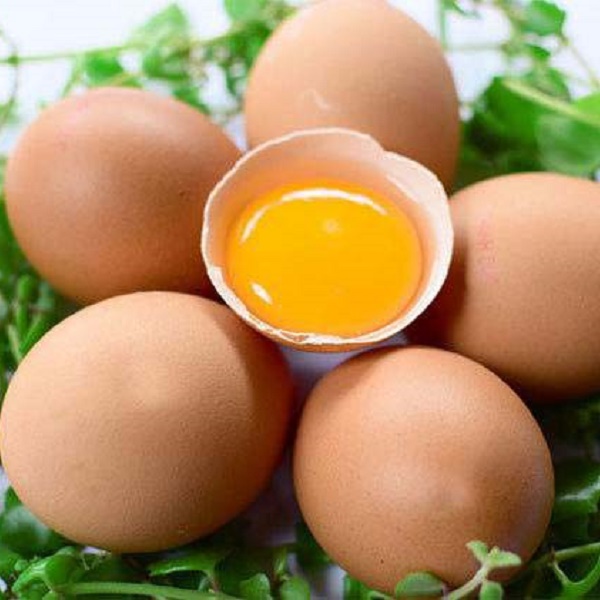 Sự thật về quả trứng gà có thể bạn chưa biết