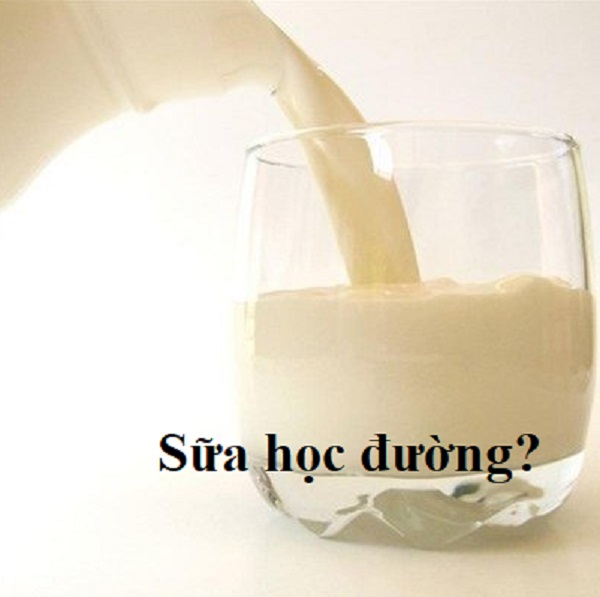 Sữa học đường cho bé - Có nên tham gia Sữa học đường cho bé - Có nên tham gia