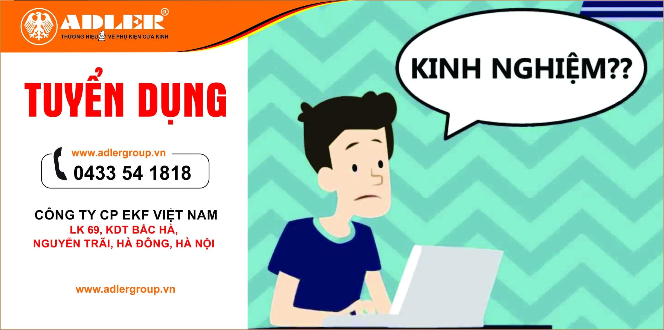 Sinh viên  mới ra trường chưa có kinh nghiệm làm việc