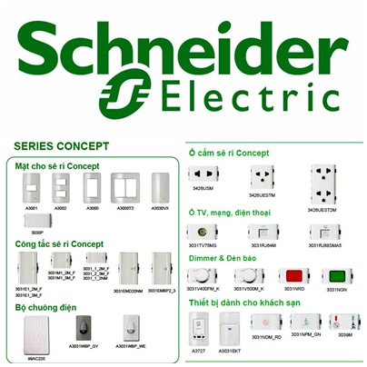 gioi-thieu-ve-lich-su-thanh-dan-dien-schneider-electric-phan-2