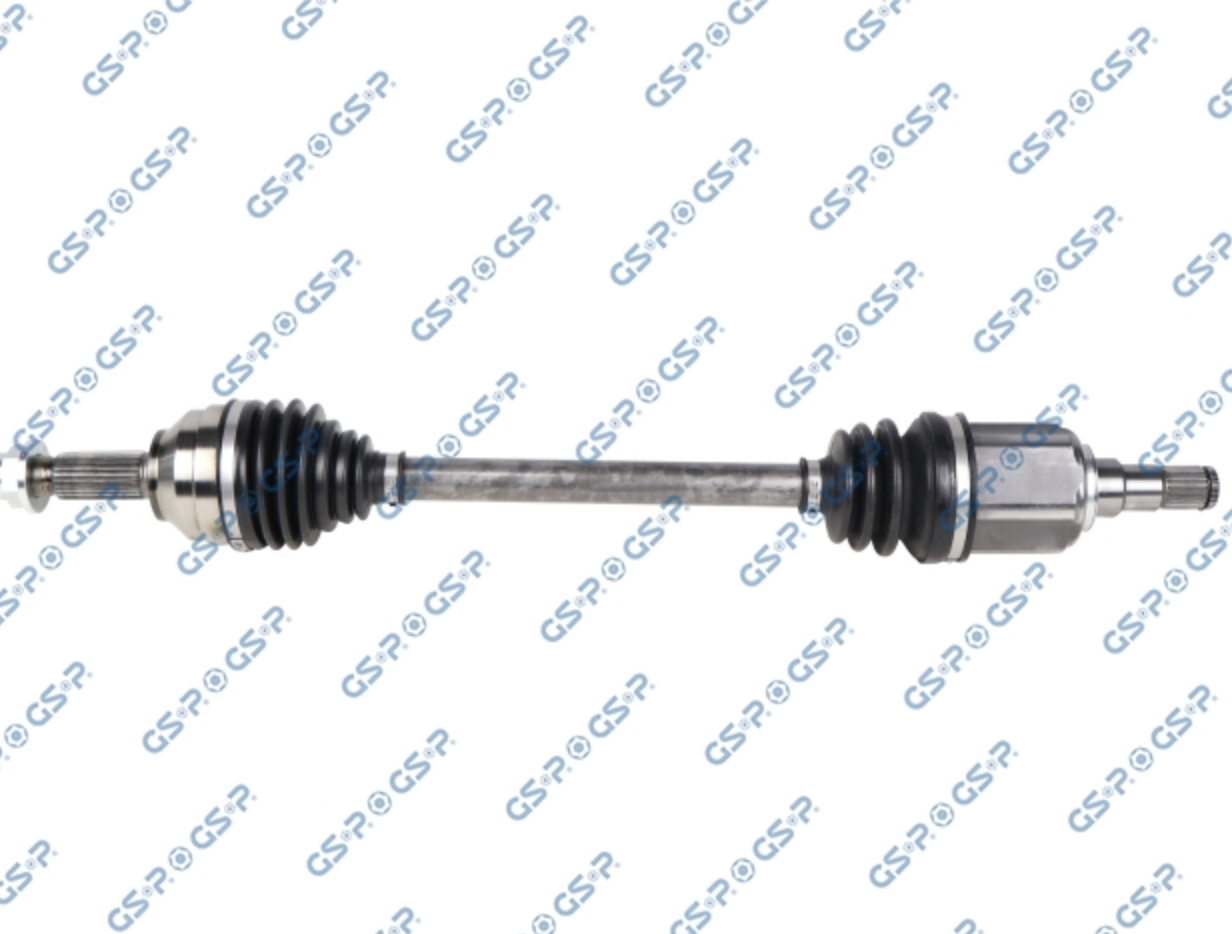 CÂY LÁP TRÁI MG ZS [2021-2025] 10564333, 10233398