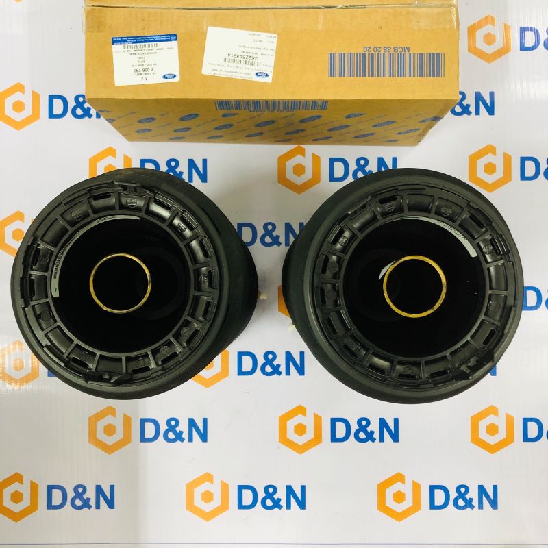 Bóng hơi giảm xóc sau Ford Tourneo 2019 | GK2Z5A891A