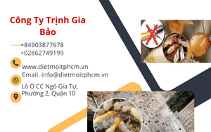 diet moi soc trang