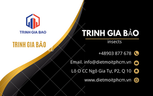 Bắt mối