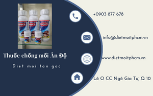 diệt mối tại cà mau
