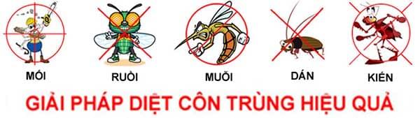 dich-vu-diet-con-trung-tai-nha