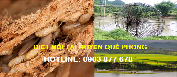 diet-moi-tai-huyen-que-phong