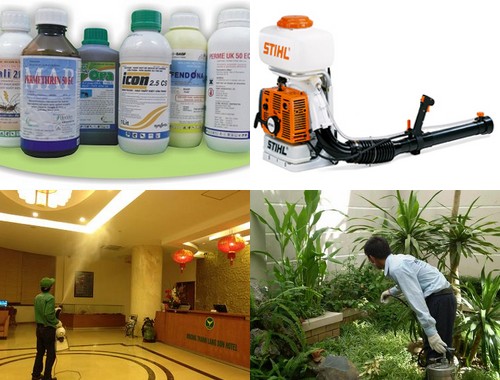 diệt mối sinh học tại gò vấp
