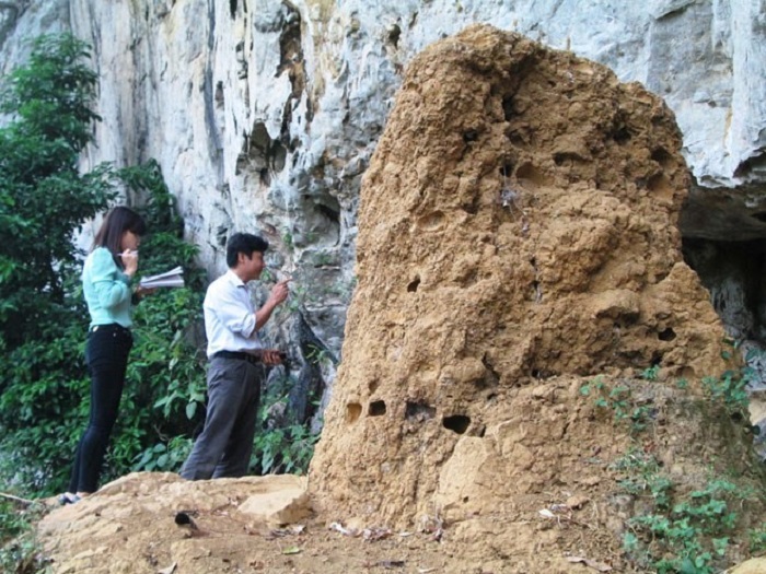 diet moi tai huyen yen thanh