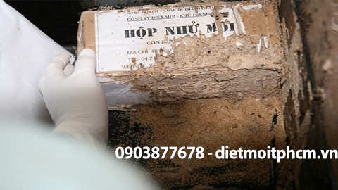 diệt mối sinh học tại phú nhuận