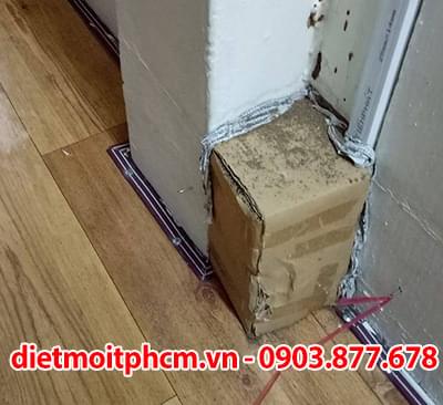 diệt mối tận gốc tại củ chi