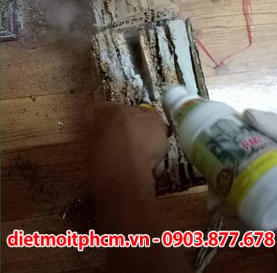 diệt mối tận gốc tại củ chi