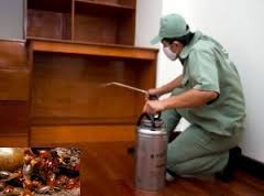 Kết quả hình ảnh cho phun phòng mối