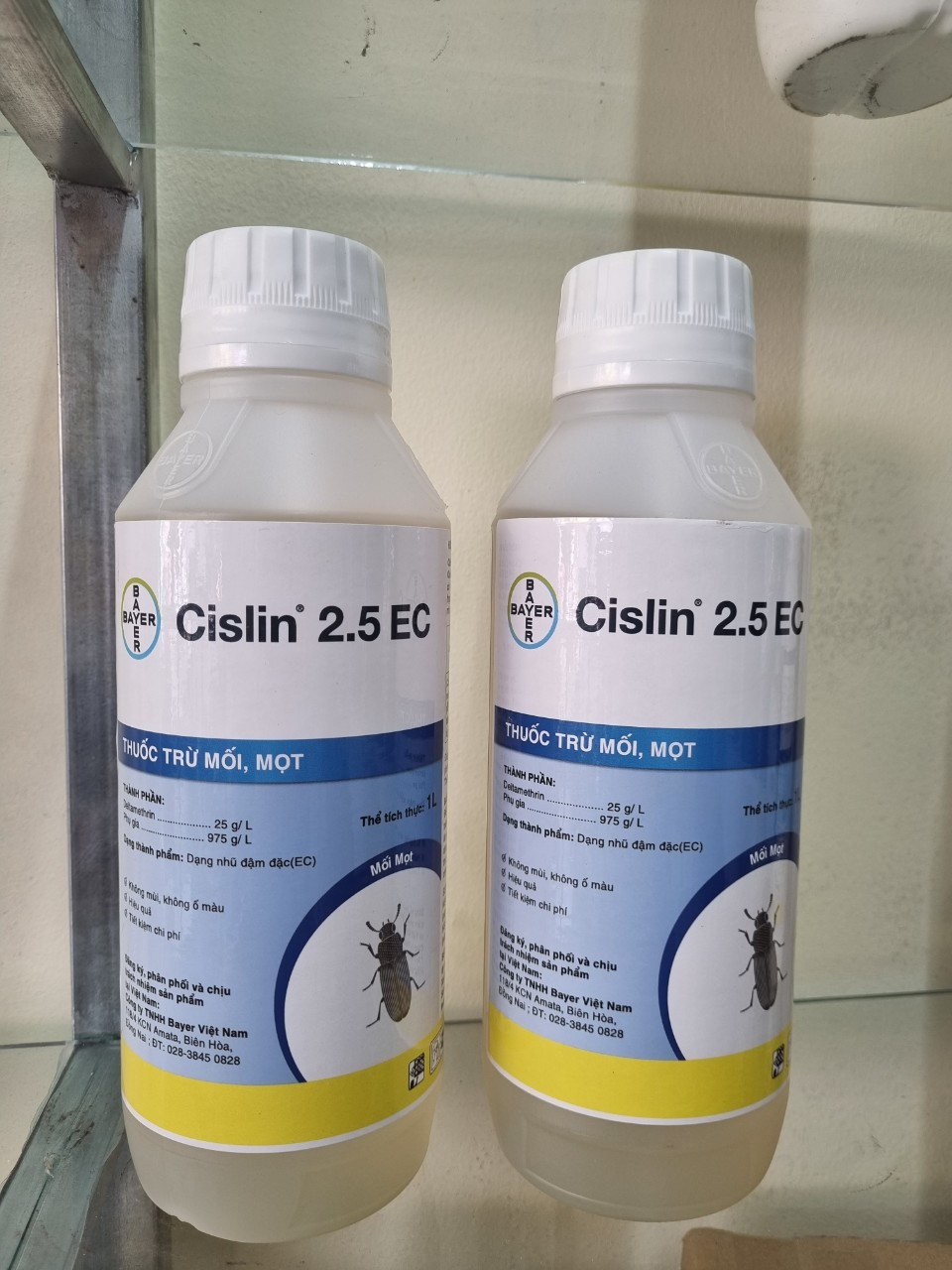 Diệt Mối Tại Gia Lai 