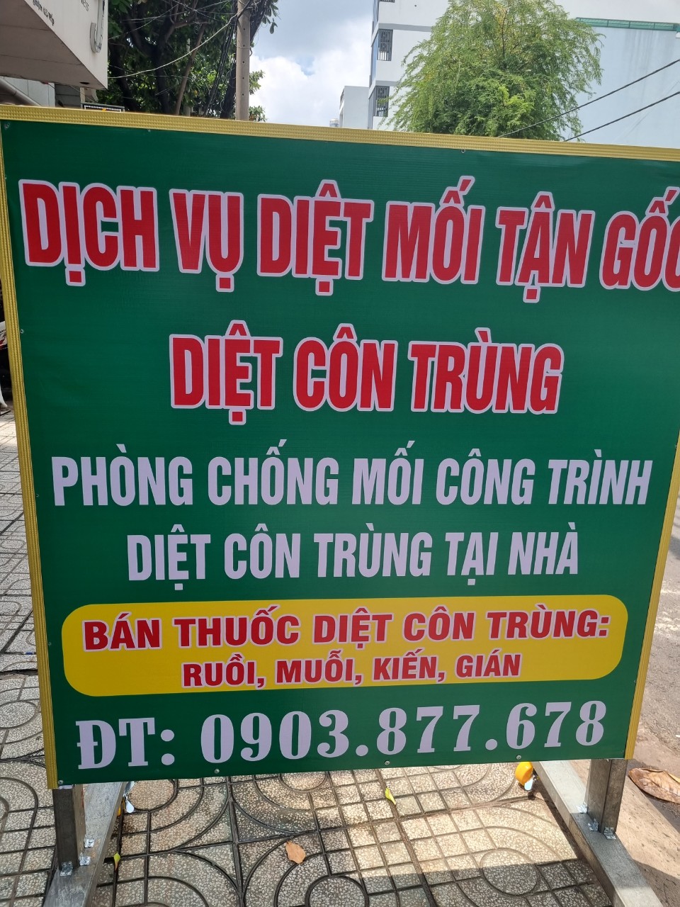 Diệt Mối Tận Gốc Tại Hội An Trịnh Gia Bảo