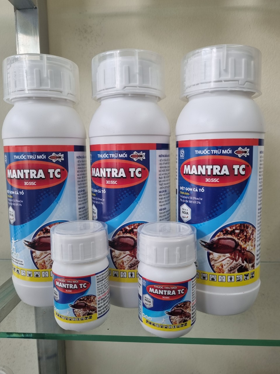 Diệt Mối Tại Đà Lạt