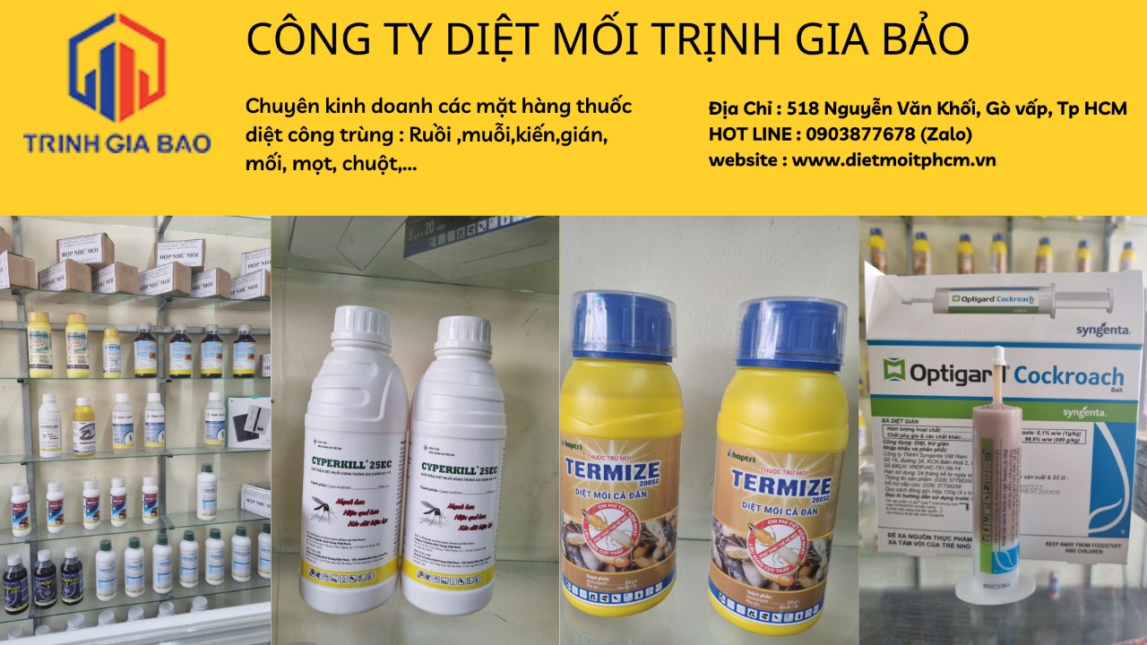 trị mối mọt