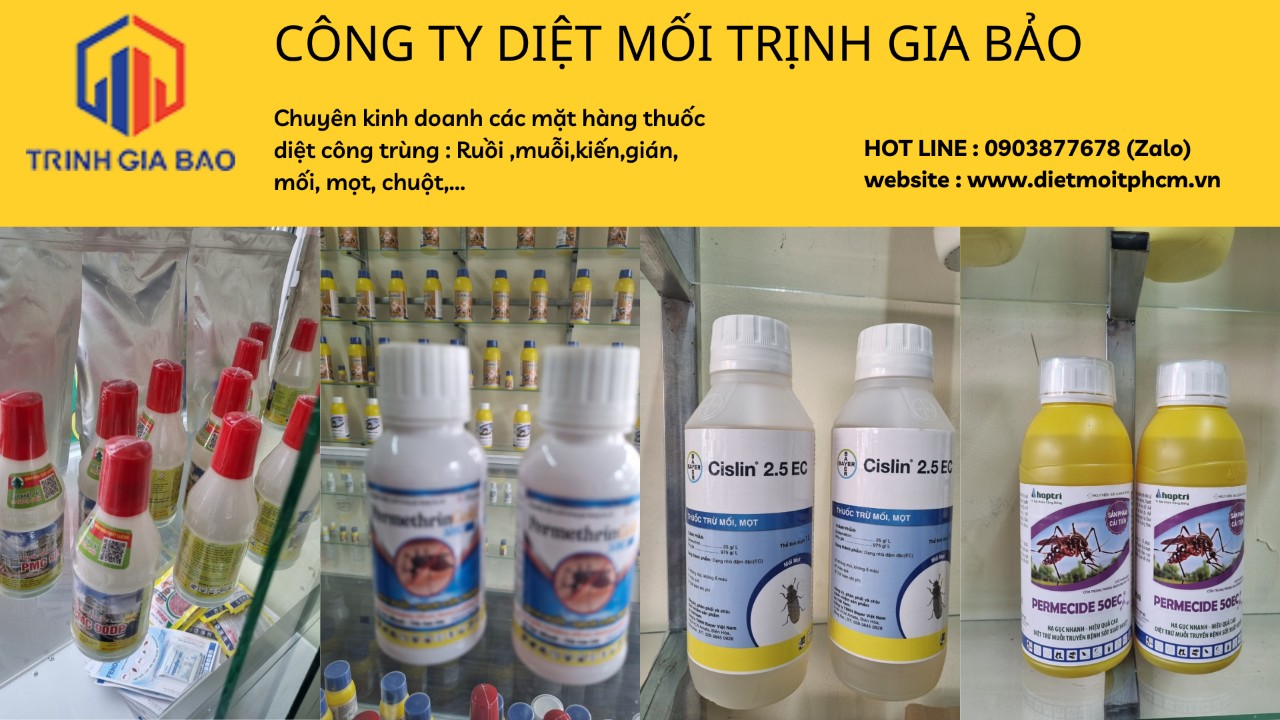 diệt mối tận gốc
