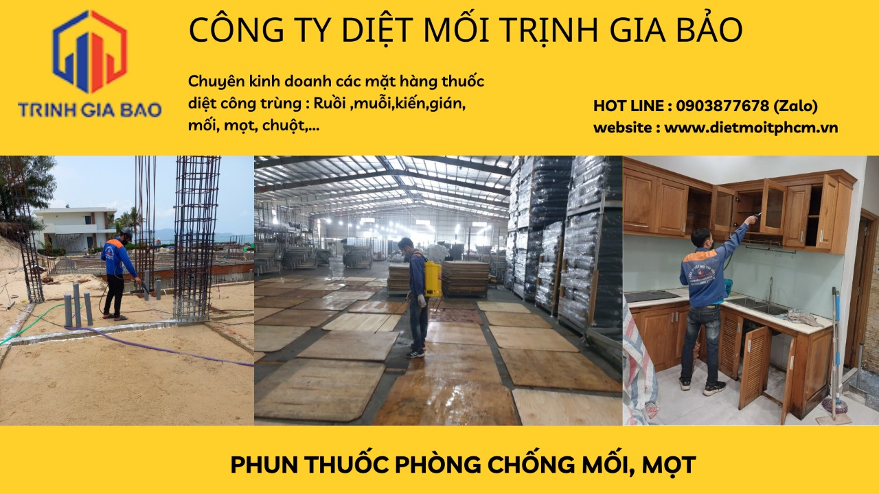 diệt mối tiền giang
