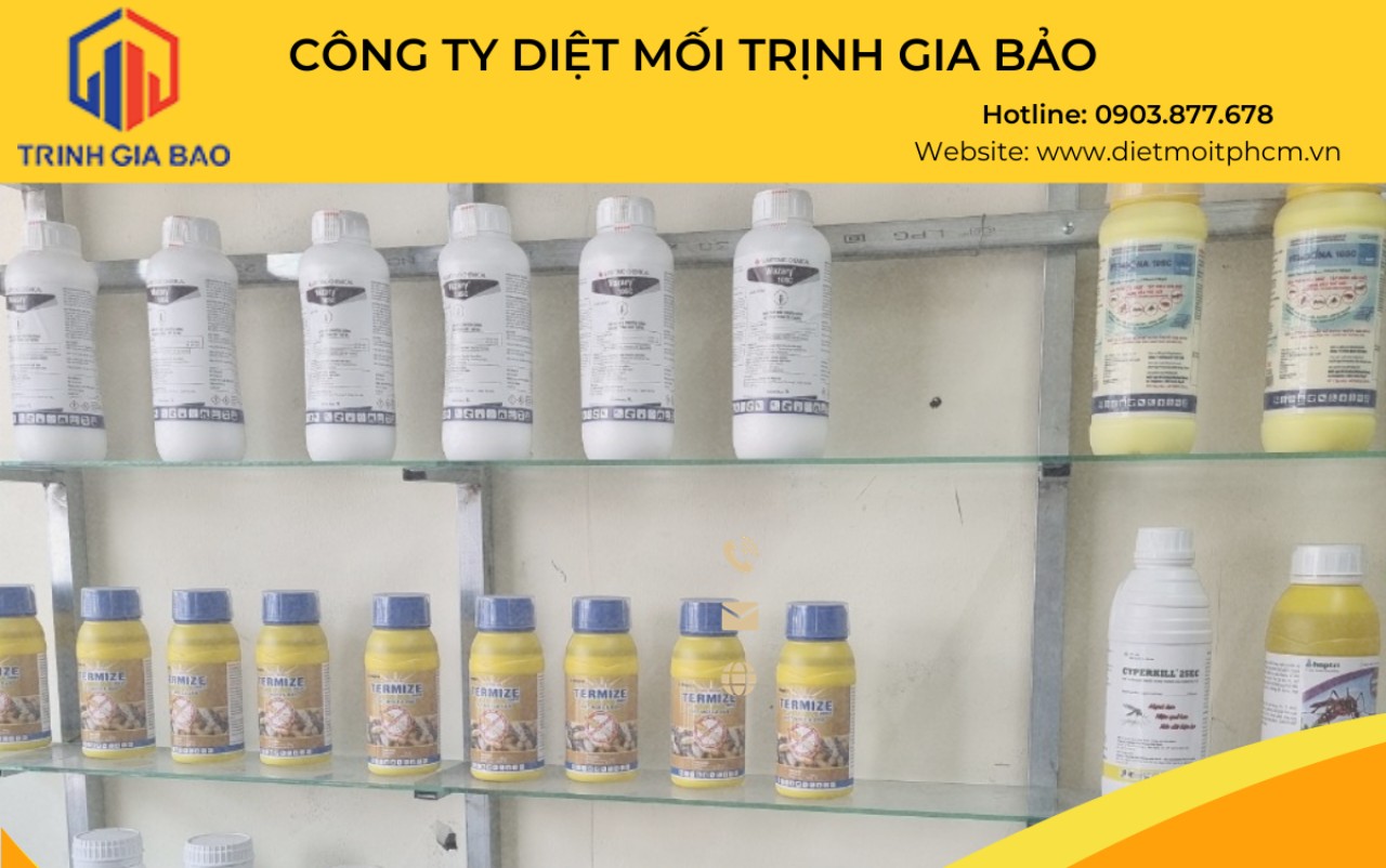 Diệt mối quận 3