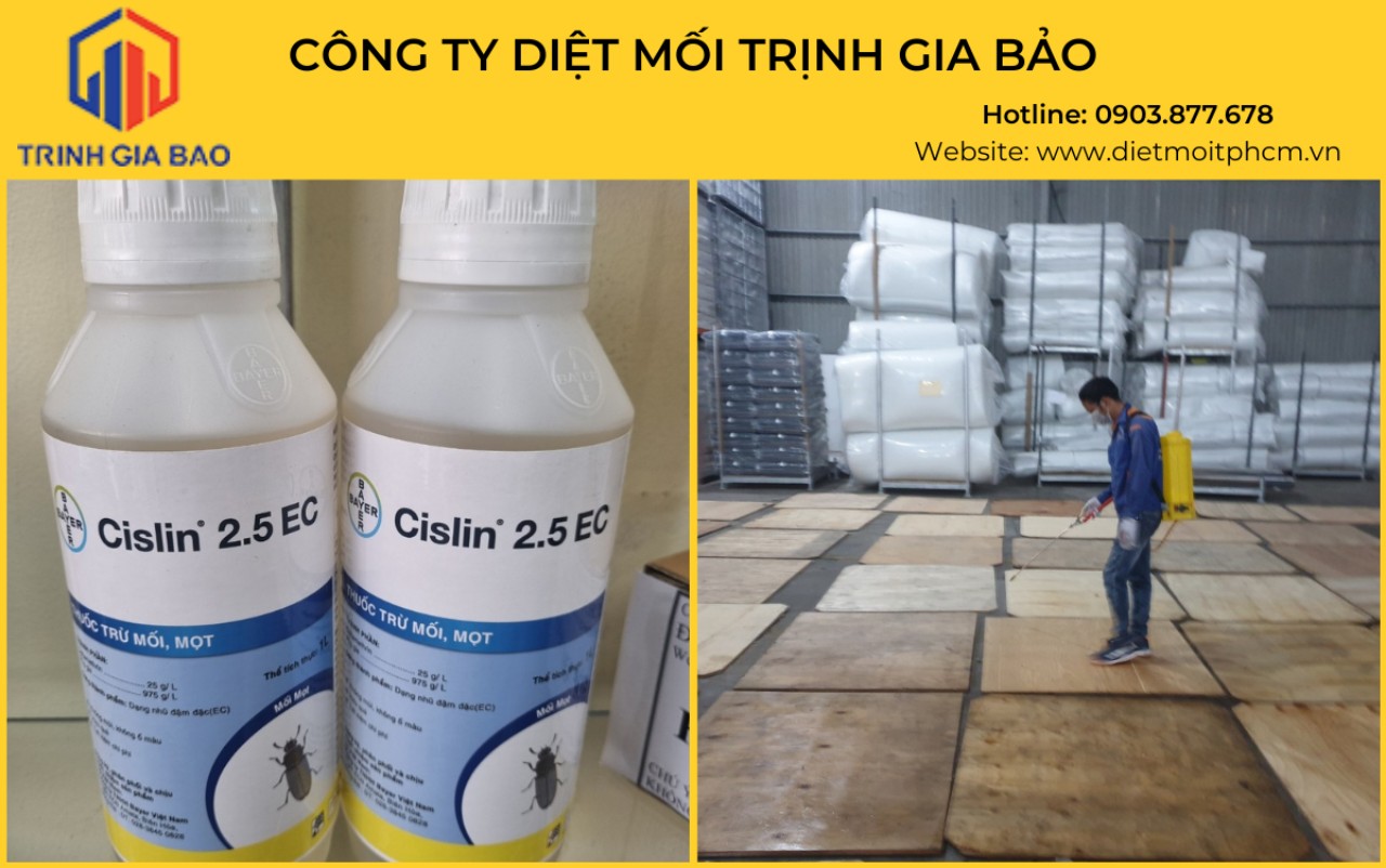 diệt mối tại quận 4