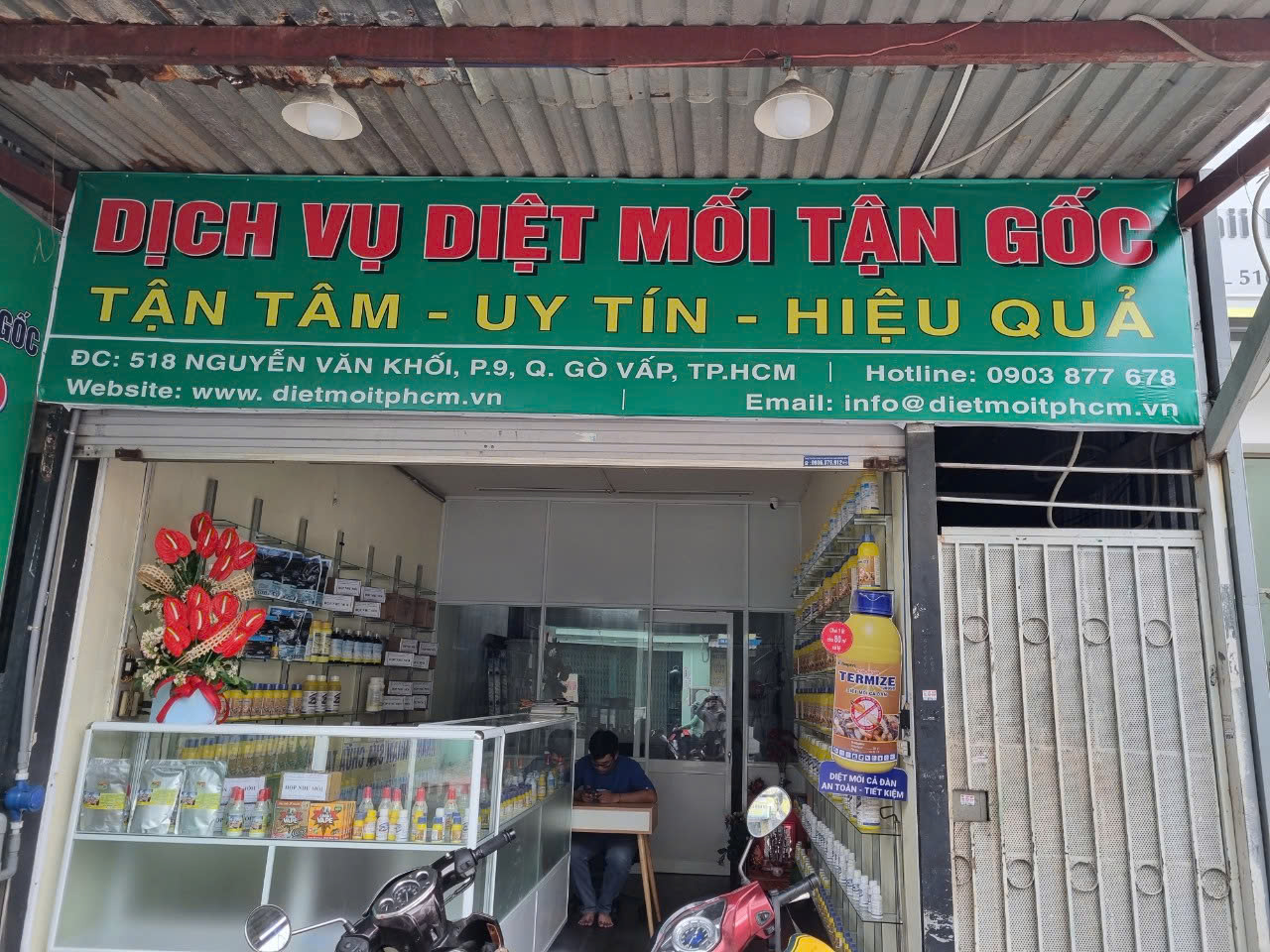 Thuốc Diệt Mối Tại Quận 1