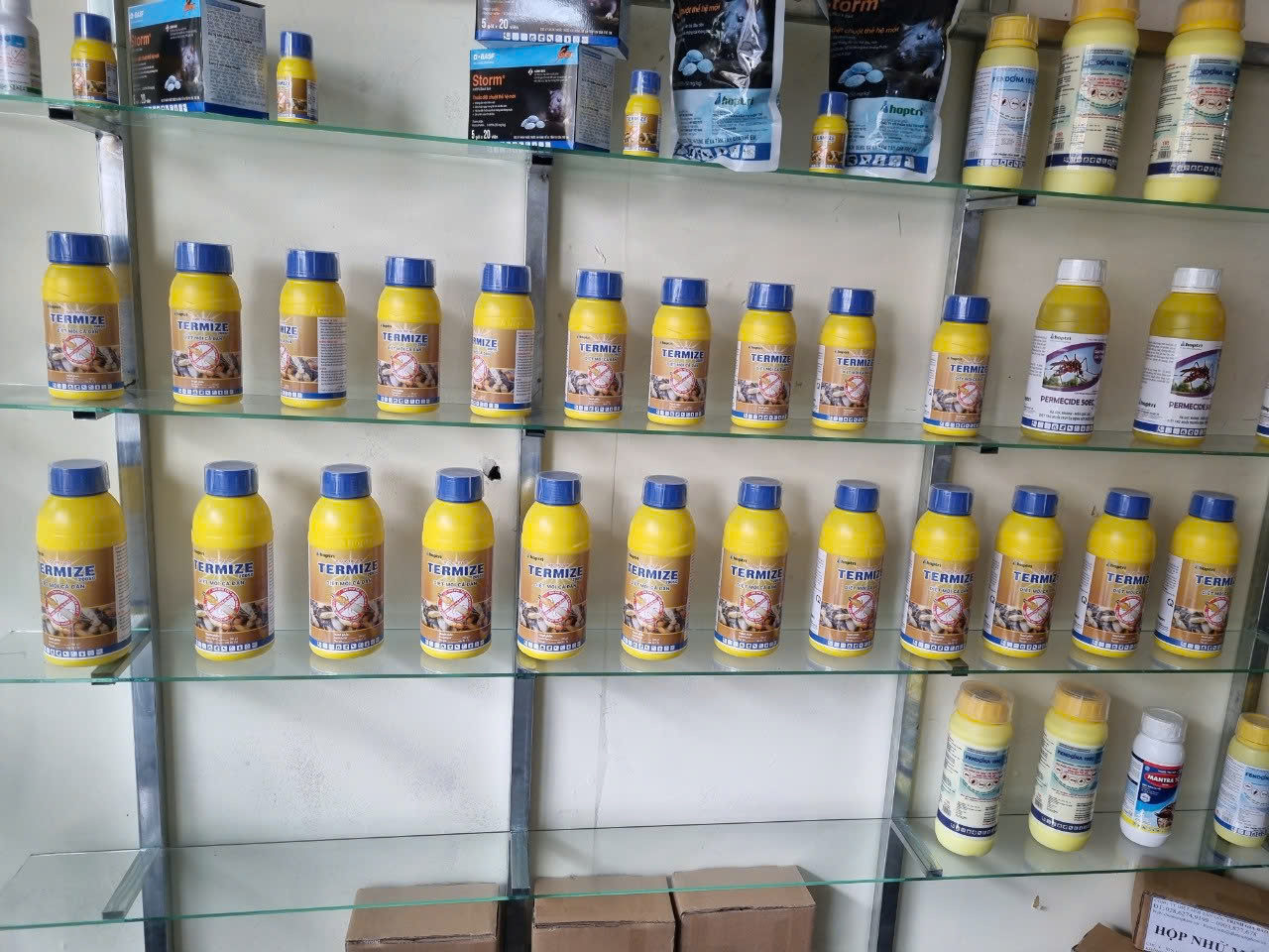thuốc diệt mối tại quận 8 