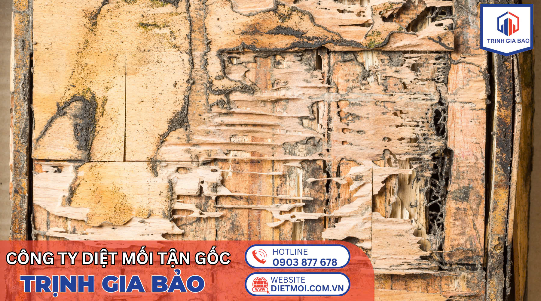 diệt mối