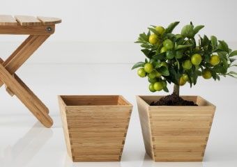 CHẬU CÂY VILDAPEL IKEA