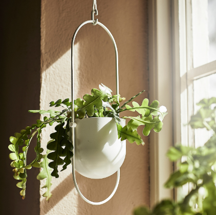 CHẬU TRỒNG CÂY TREO CHILISTRÅN IKEA - TRẮNG 12 cm