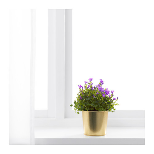 CHẬU CÂY DAIDAI IKEA - MÀU ĐỒNG