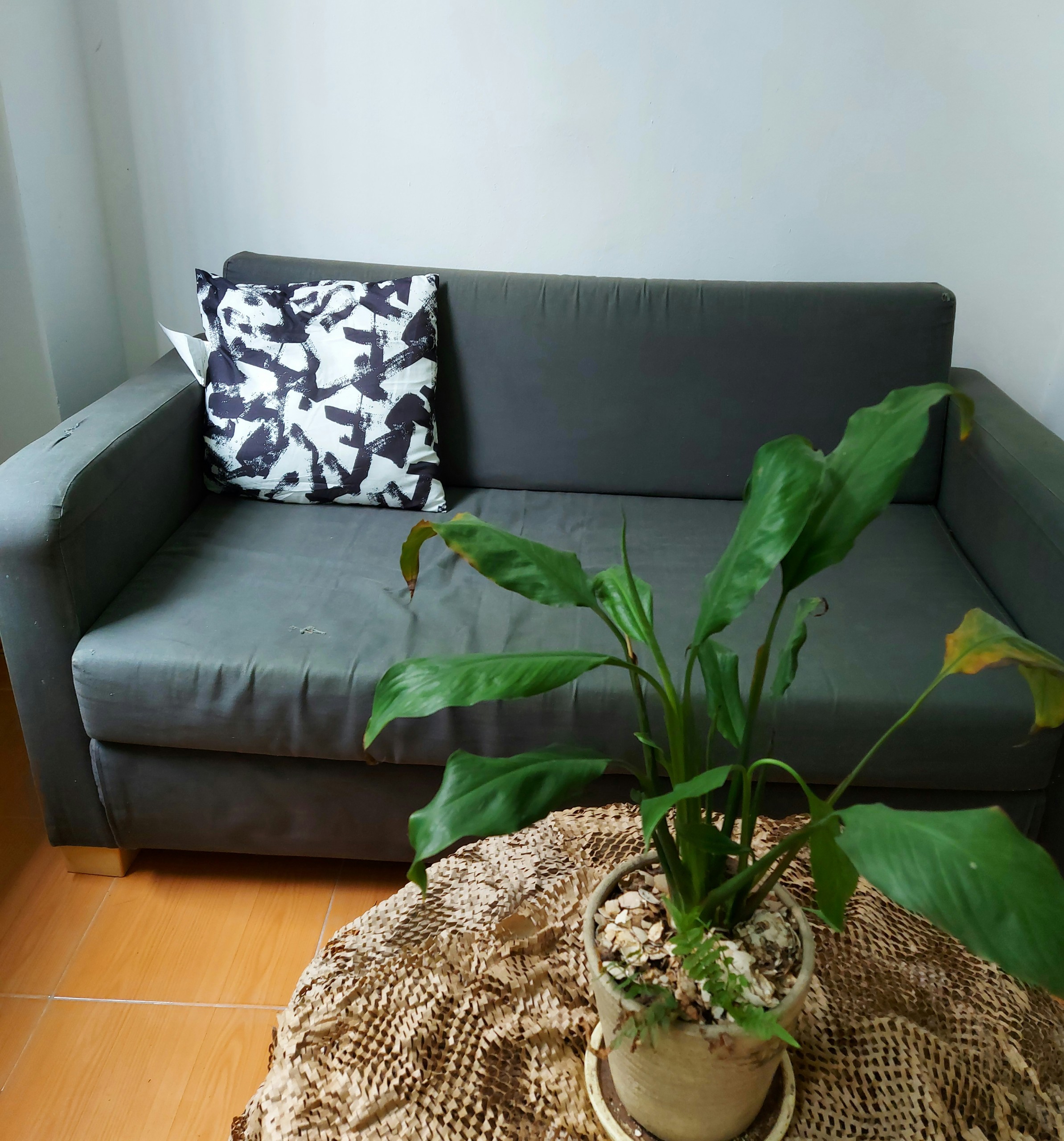 ĐỆM GỐI TURILL IKEA - TRẮNG / ĐEN 40x40 cm