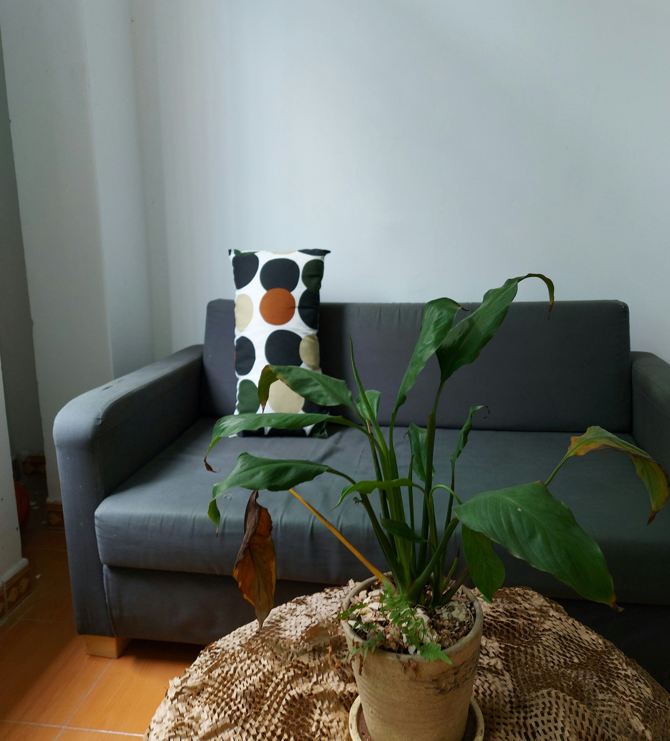 GỐI LIGUSTERFLY IKEA - Chấm nhiều màu 30x58 cm