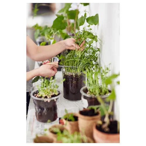 LỌ TRÒN IKEA 365+ THỦY TINH 1.7 L