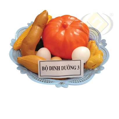 Dinh dưỡng 3 (có rổ)