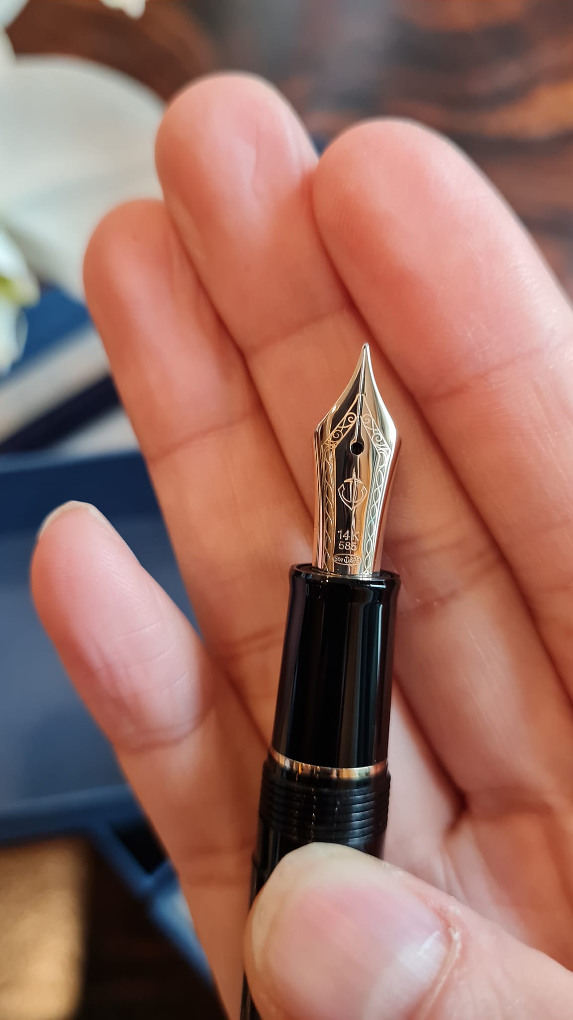 BÚT MÁY SAILOR 1911 LIGHT FP BLACK GT 14K (EF-MS) 11-1038