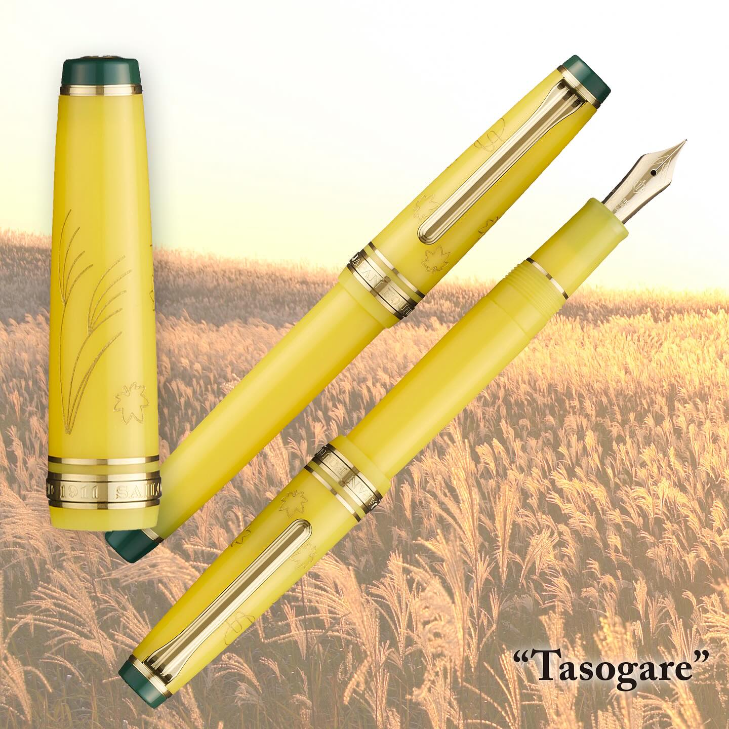 PG SLIM FOUNTAIN PEN 14K JAPANESE SCENERY