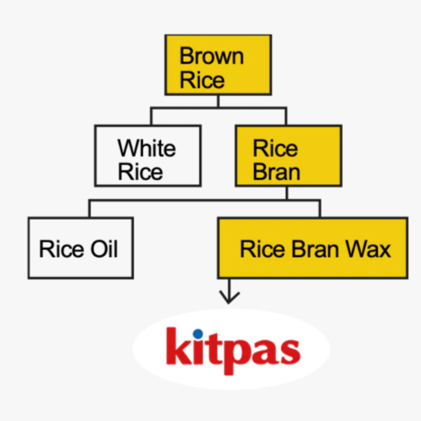 BỘ BÚT MÀU SÁP NIHON RIKAGAKU KITPAS RICE BRAN WAX ART CRAYONS B-KMRW